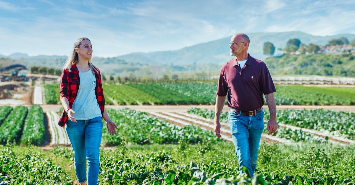 découvrez comment instaurer des partenariats durables qui favorisent la collaboration, la responsabilité sociétale et la prospérité mutuelle. explorez des stratégies efficaces pour bâtir des relations éthiques et bénéfiques avec vos partenaires.