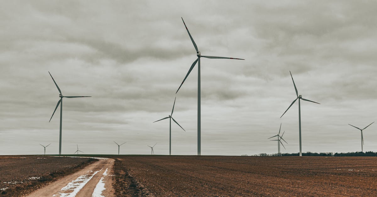 découvrez les enjeux du changement environnemental, ses impacts sur notre planète et les solutions durables pour préserver notre écosystème. engagez-vous pour un avenir plus vert et responsable.