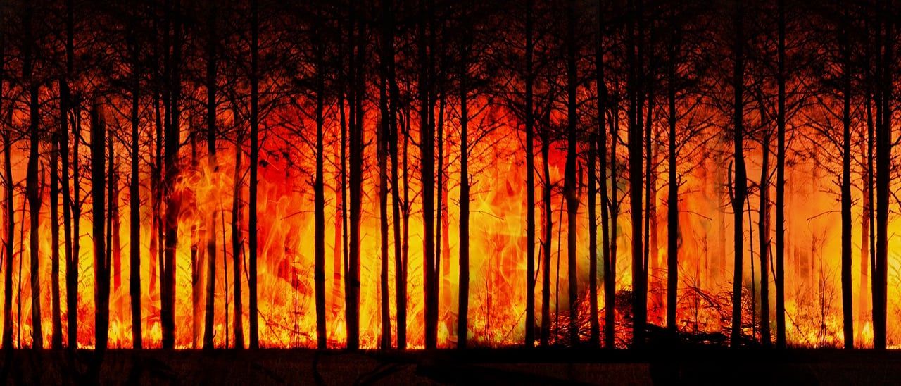 découvrez les causes et les conséquences du changement climatique, ainsi que les solutions pour limiter son impact sur notre planète. informez-vous sur les actions à mener pour protéger l'environnement.