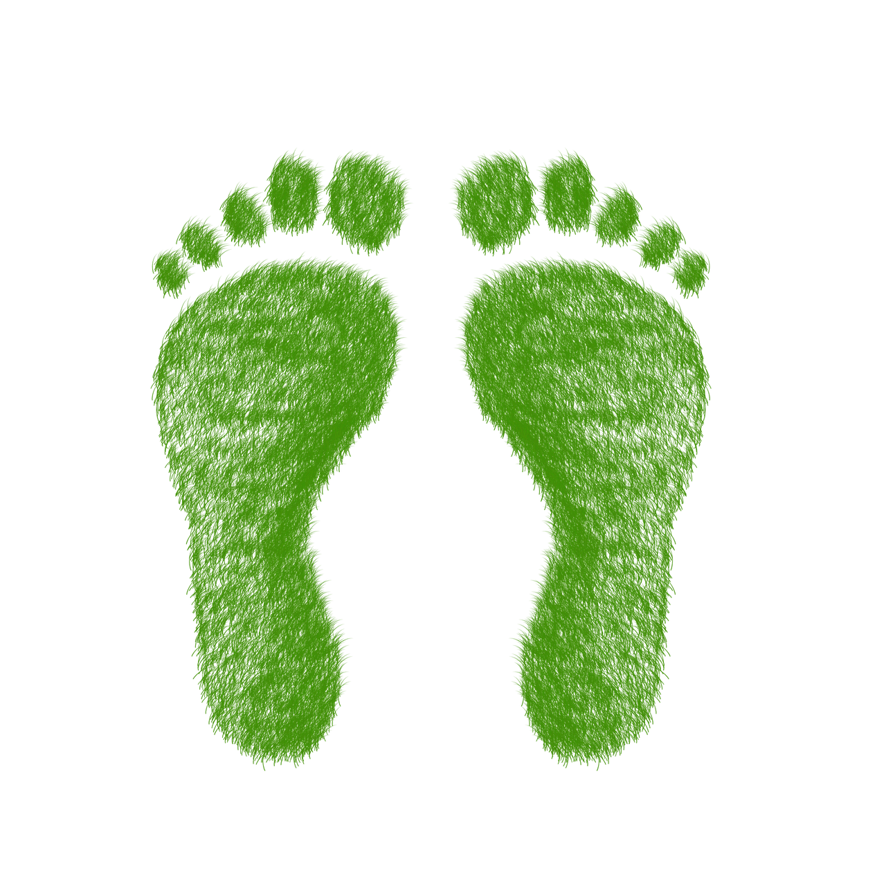 découvrez l'empreinte écologique, un indicateur essentiel pour mesurer l'impact environnemental de nos activités. apprenez comment réduire votre empreinte et contribuer à la protection de notre planète.