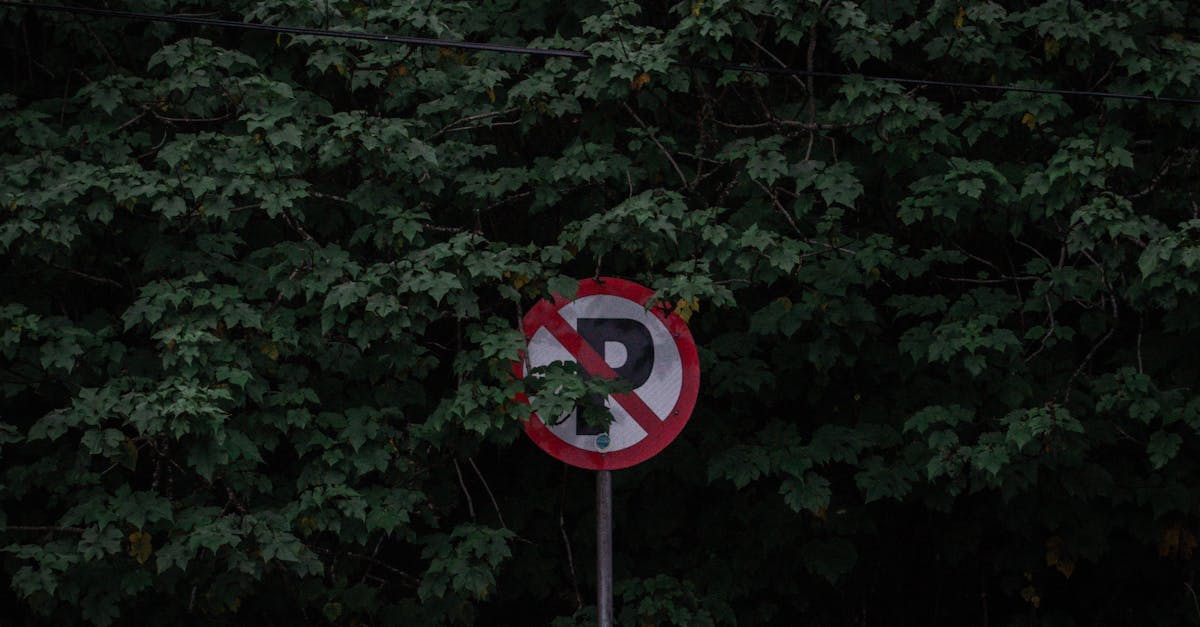 découvrez les enjeux et les régulations du droit environnemental, un domaine clé pour la protection de notre planète. informez-vous sur les lois qui régissent la protection de l'environnement, la gestion des ressources naturelles et la lutte contre la pollution.