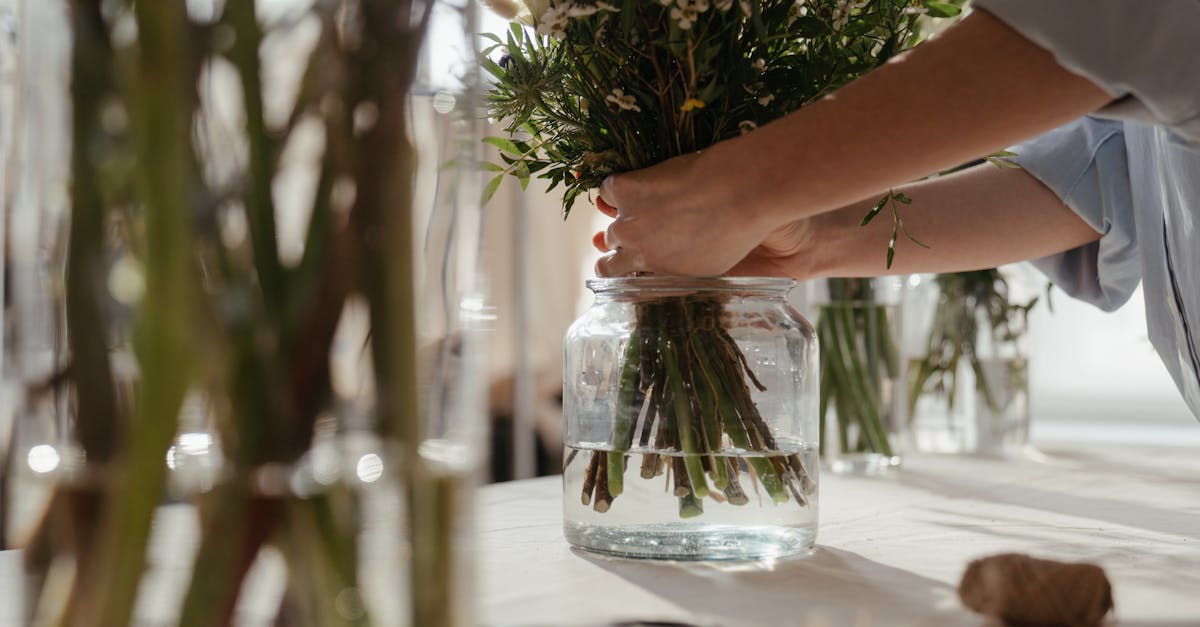 découvrez des astuces et conseils pratiques pour adopter un mode de vie durable. apprenez à réduire votre empreinte écologique, à privilégier une consommation réfléchie et à contribuer à la protection de notre planète tout en améliorant votre qualité de vie.