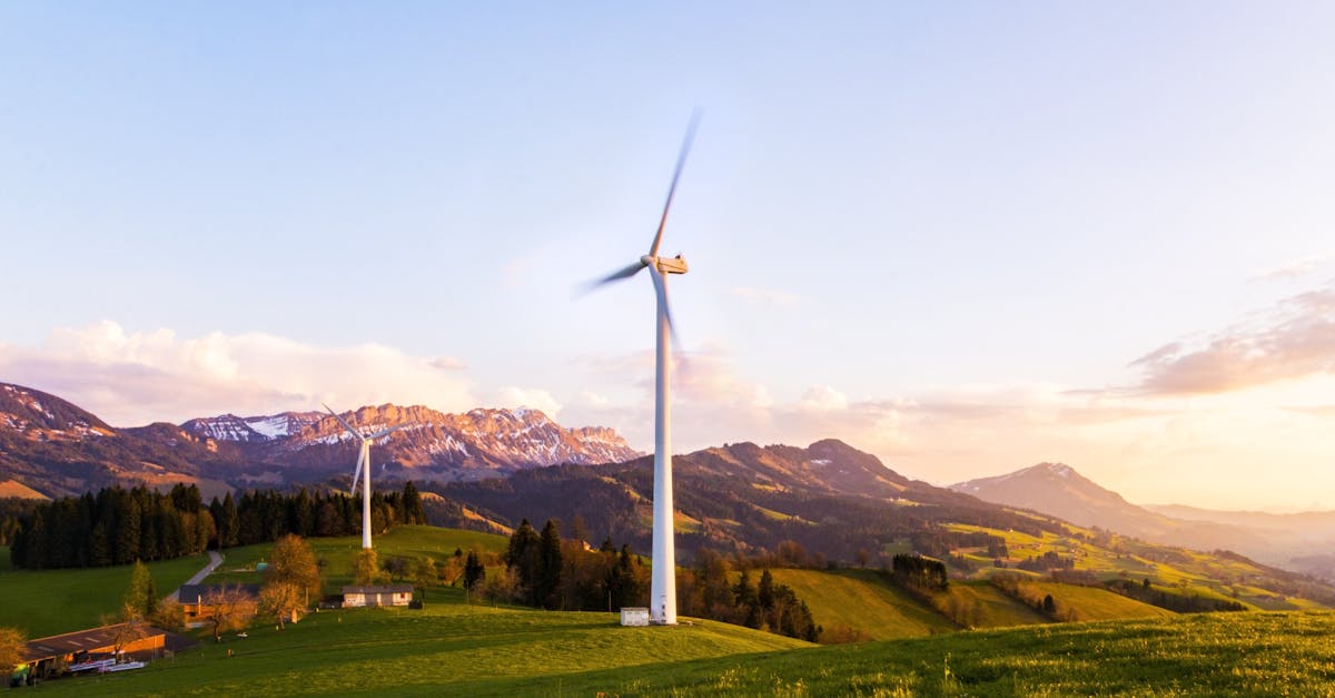 découvrez l'importance de la durabilité dans notre quotidien. explorez des pratiques écologiques, des produits verts et des initiatives visant à protéger notre planète pour les générations futures. engagez-vous dans un mode de vie durable et contribuez à un avenir meilleur.