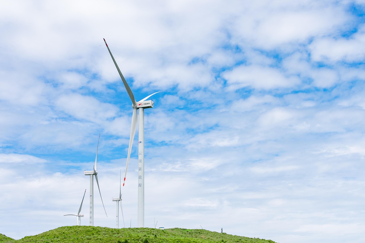 découvrez les principes du développement durable, ses enjeux environnementaux, économiques et sociaux, pour un avenir responsable et équilibré.