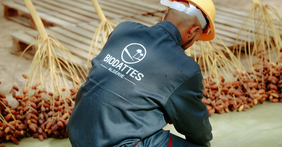 découvrez les stratégies et solutions innovantes pour s'adapter aux changements climatiques, préserver notre environnement et garantir un avenir durable pour les générations futures. apprenez comment les communautés, entreprises et gouvernements se mobilisent face aux défis climatiques.