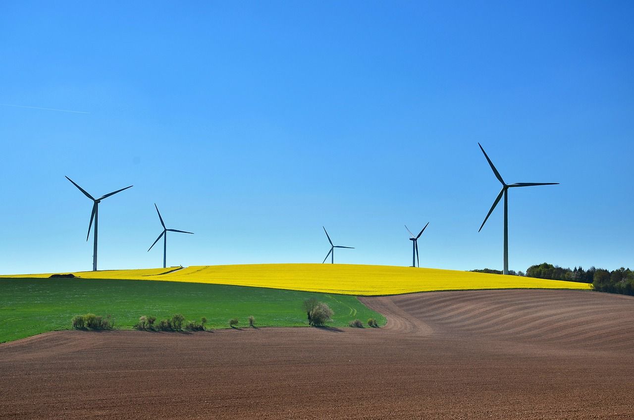 découvrez les enjeux et les stratégies du développement durable, une approche qui vise à concilier croissance économique, inclusion sociale et protection de l'environnement pour un avenir meilleur.