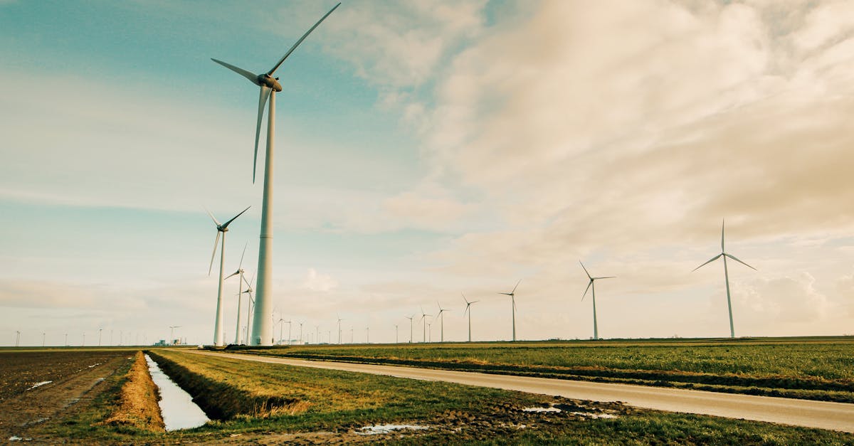 découvrez l'importance de l'infrastructure verte dans la lutte contre le changement climatique et la promotion de la durabilité. explorez les avantages écologiques, économiques et sociaux des solutions naturelles qui améliorent la qualité de vie en milieu urbain.