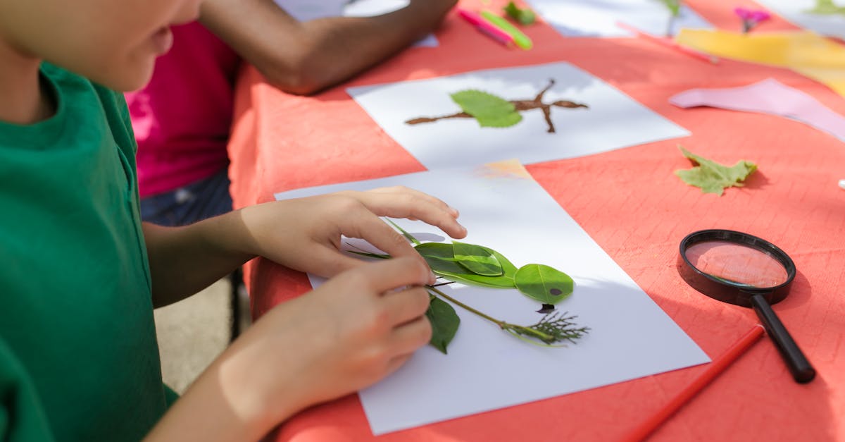 découvrez l'importance de l'éducation environnementale pour sensibiliser et responsabiliser les générations futures face aux enjeux écologiques. apprenez comment intégrer des pratiques durables dans votre quotidien et contribuer à la protection de notre planète.