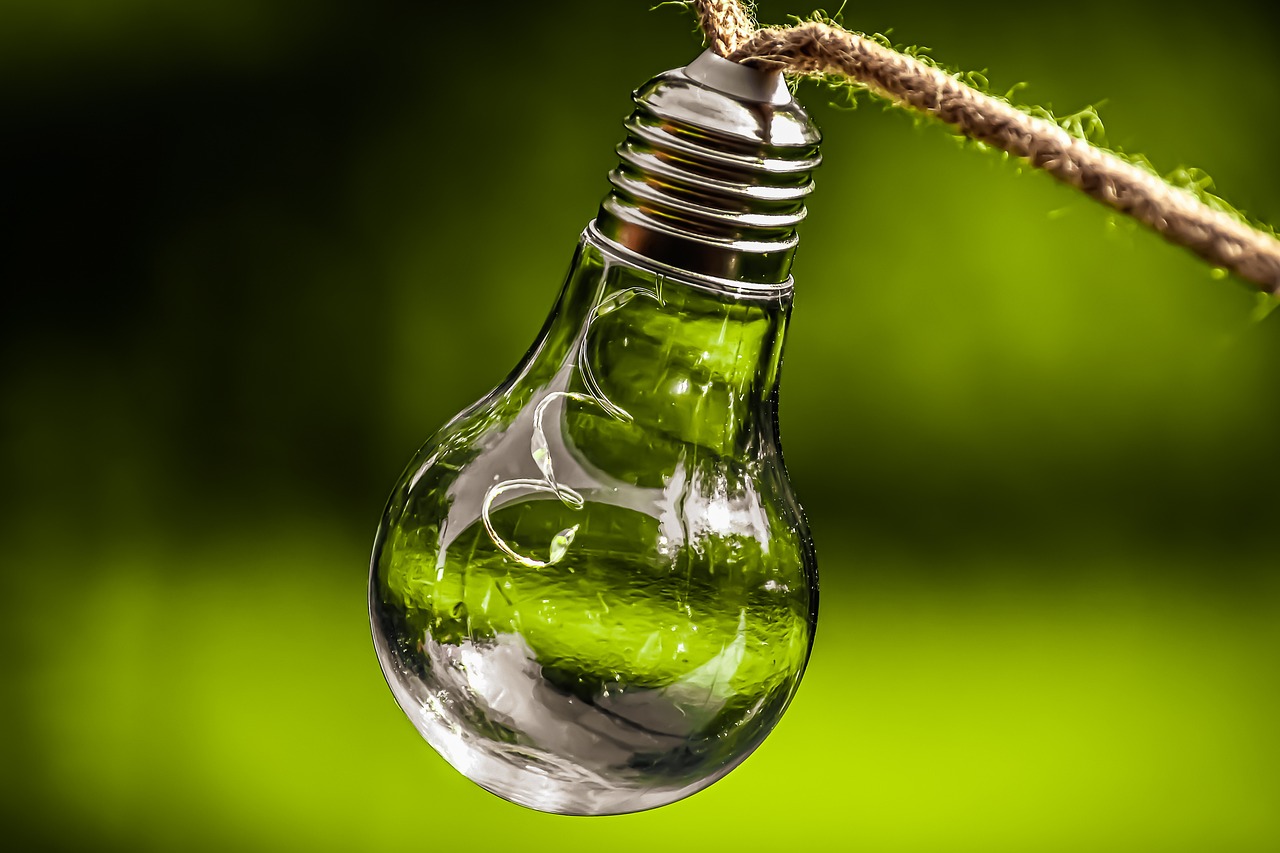découvrez l'importance de la durabilité et de l'éco-responsabilité dans notre société moderne. apprenez comment adopter des pratiques durables pour préserver notre planète et assurer un avenir meilleur pour les générations futures.