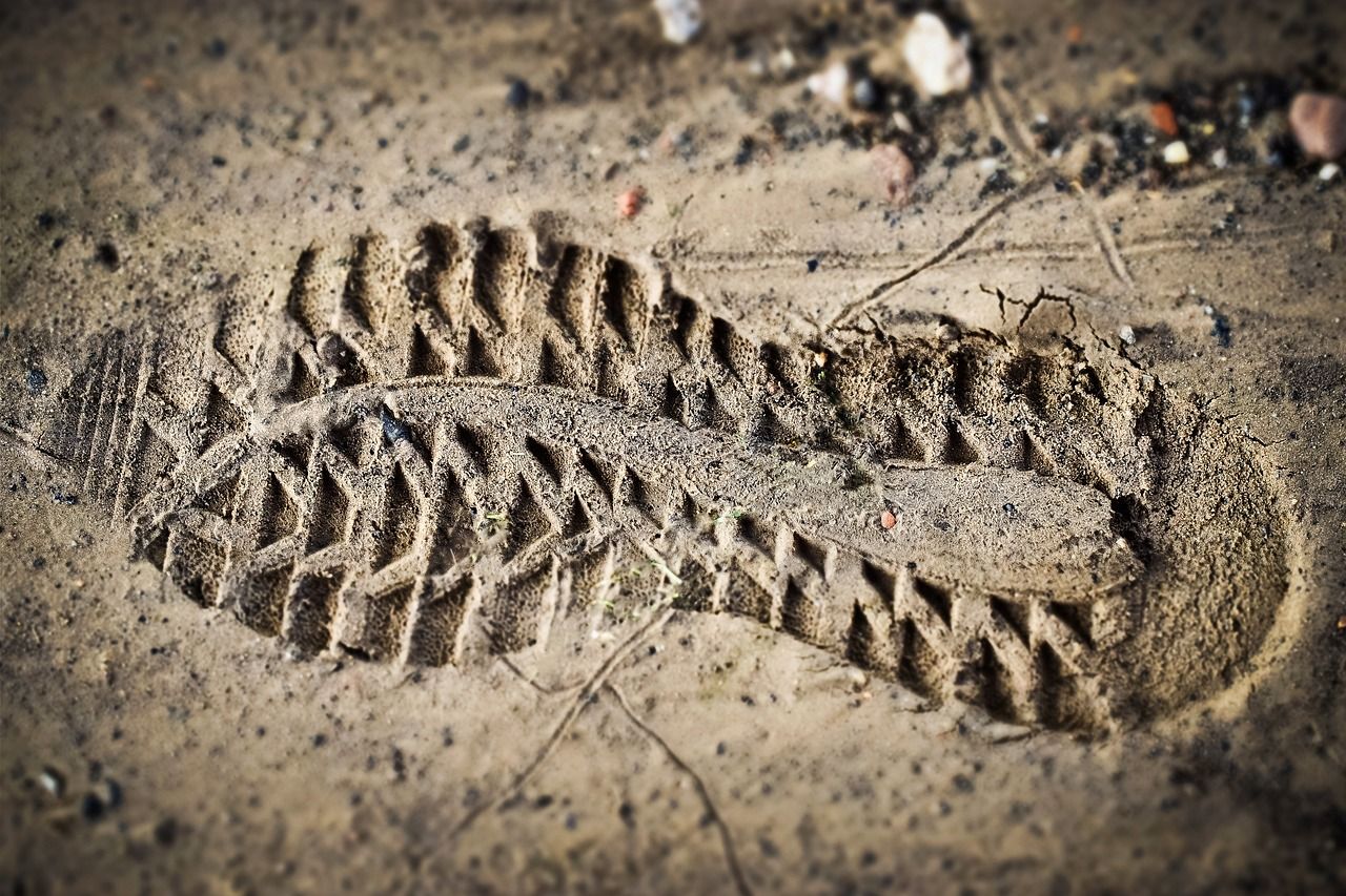 découvrez comment réduire votre empreinte carbone et contribuer à un avenir durable. apprenez des astuces pratiques pour minimiser votre impact environnemental au quotidien.