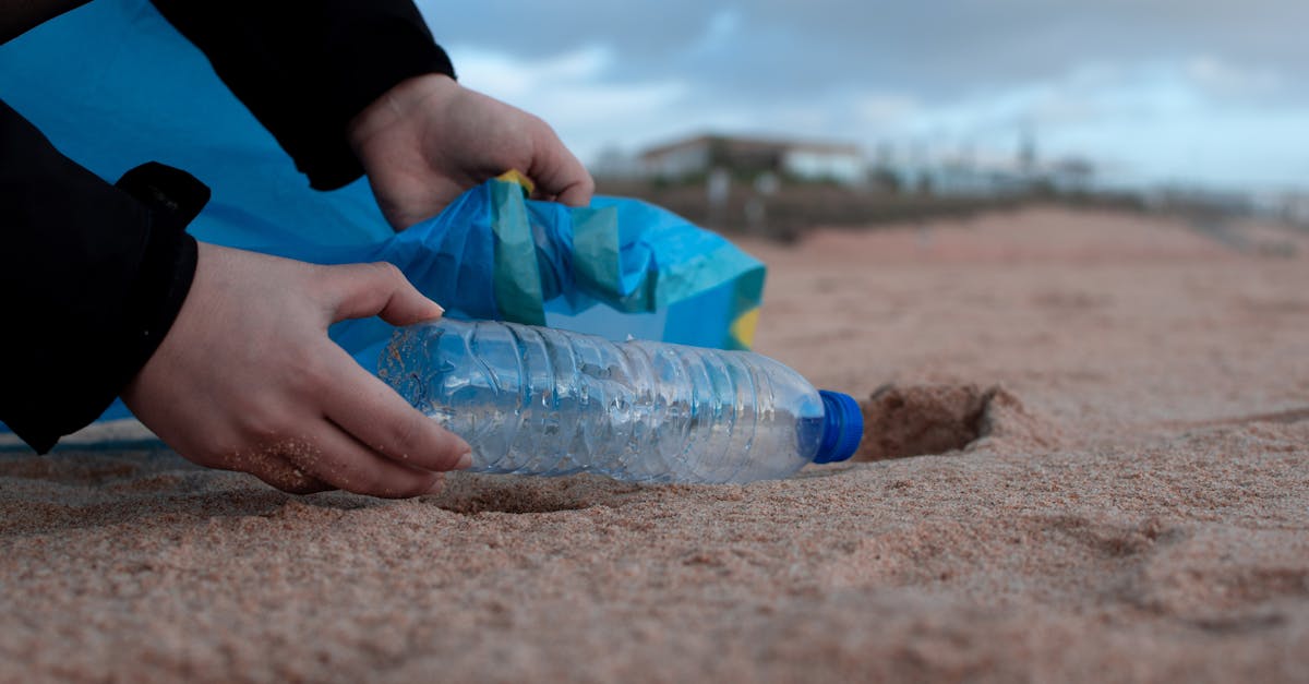 découvrez des stratégies efficaces pour réduire les déchets et adopter un mode de vie plus durable. apprenez comment chaque petit geste compte dans la lutte contre le gaspillage. engagez-vous dès aujourd'hui pour un avenir plus vert.