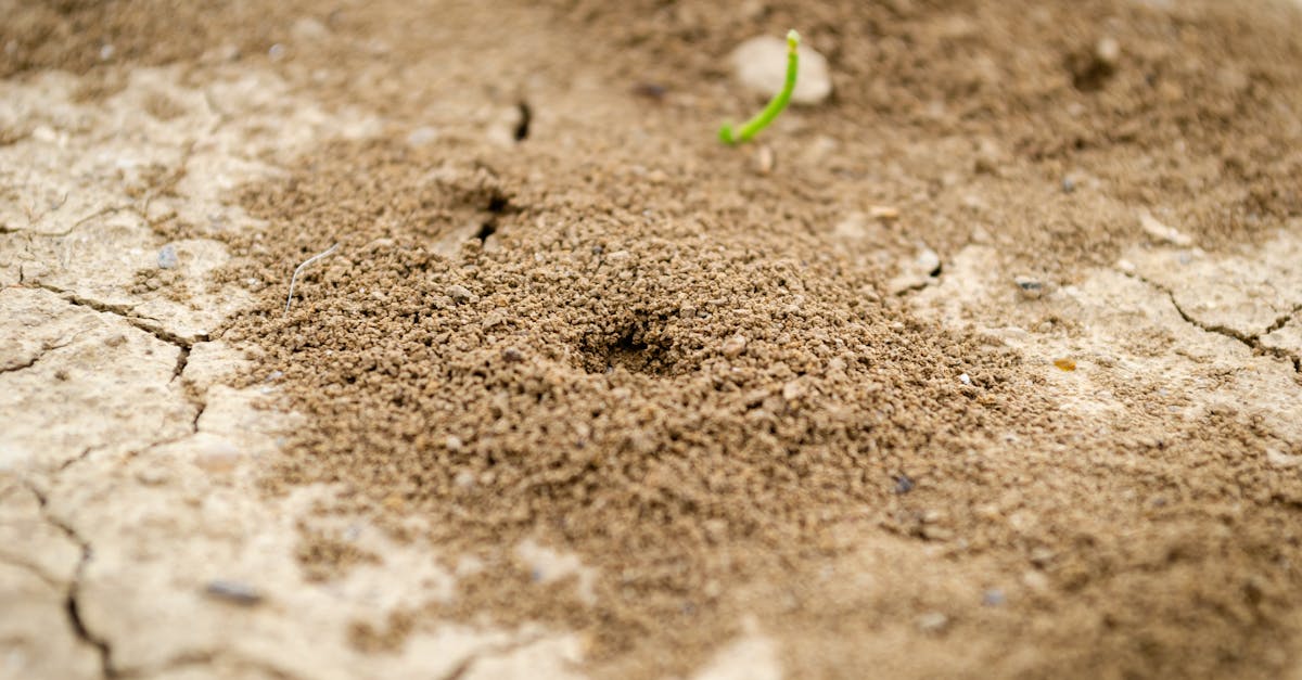 découvrez les stratégies essentielles pour l'adaptation des entreprises dans un monde en constante évolution. apprenez comment optimiser vos processus et innover pour rester compétitif sur le marché.