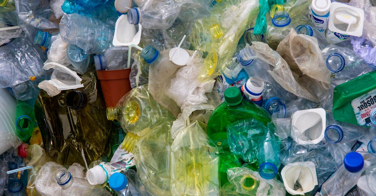 découvrez des stratégies efficaces pour réduire les déchets et adopter un mode de vie plus durable. apprenez des astuces simples et des initiatives écologiques pour minimiser votre impact environnemental tout en préservant la planète.