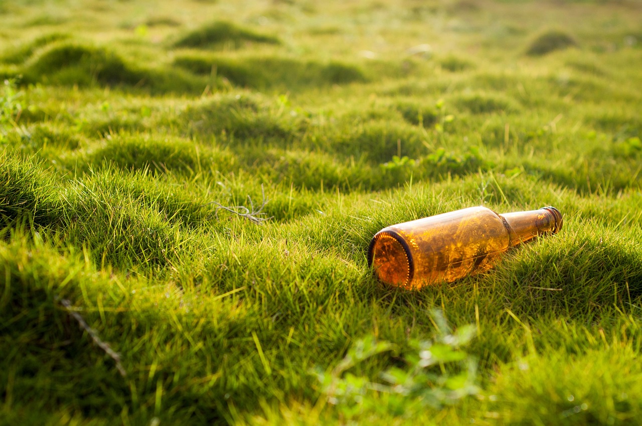 découvrez l'importance de la sensibilisation environnementale et comment elle peut transformer nos comportements pour protéger notre planète. rejoignez-nous pour explorer des solutions durables et adopter des pratiques éco-responsables.