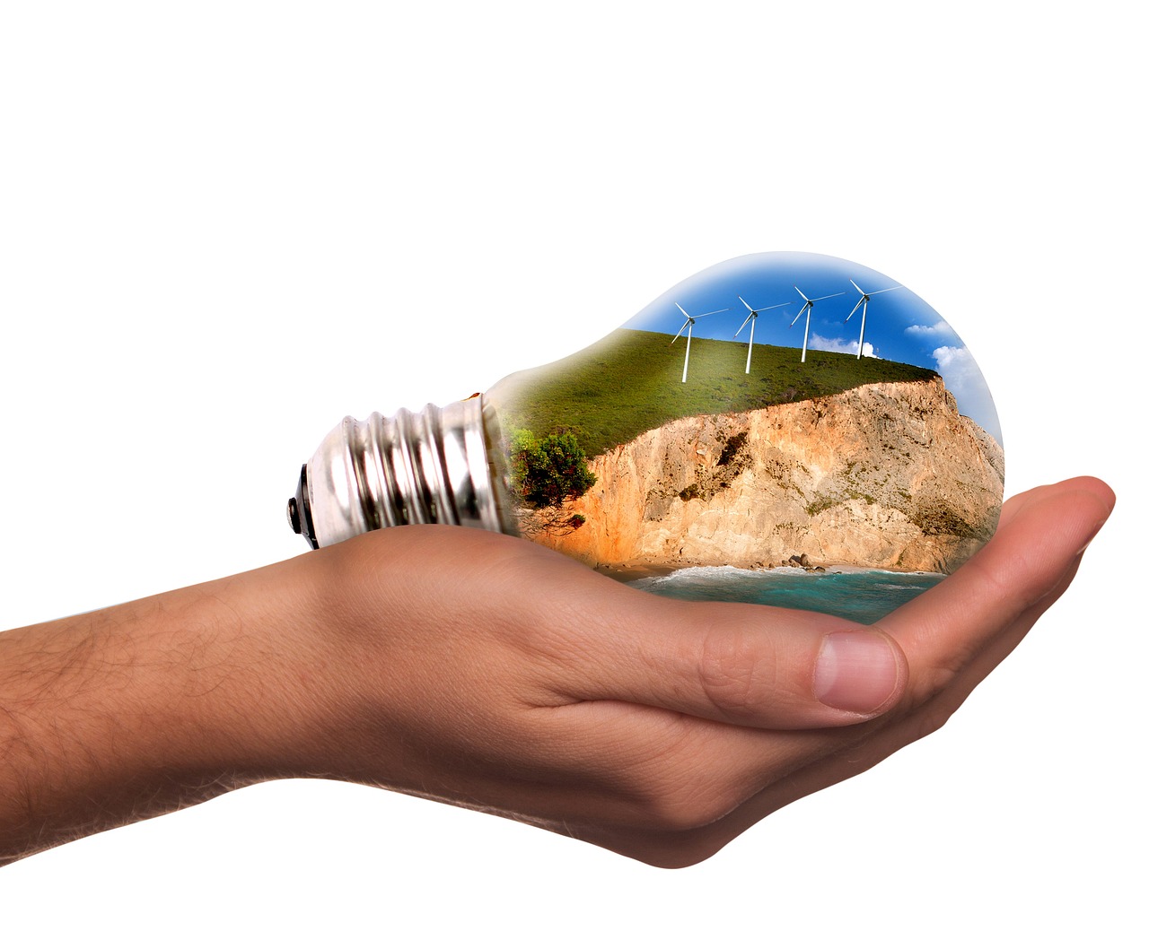 découvrez les enjeux et solutions de la transition écologique pour un avenir durable, alliant protection de l'environnement et développement responsable.