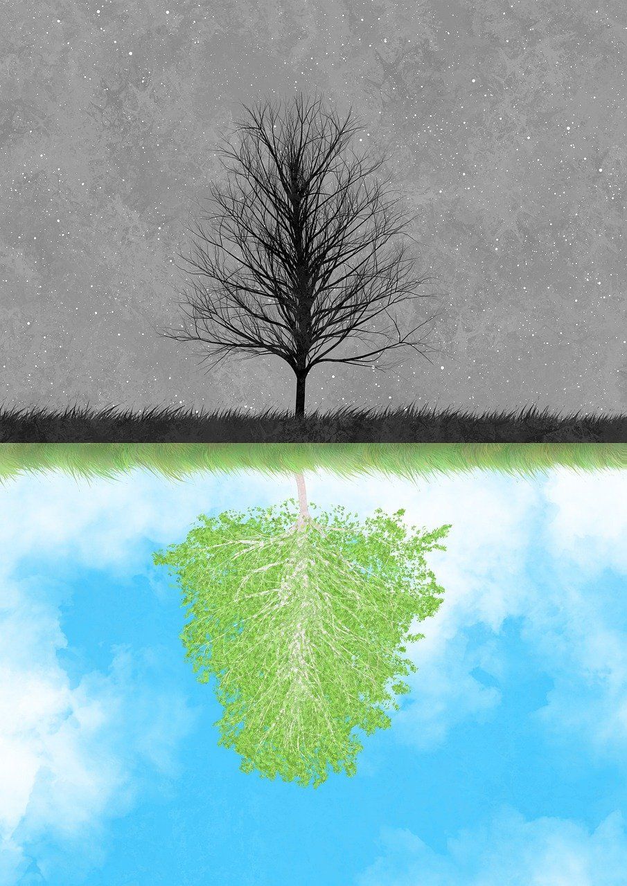 découvrez les enjeux environnementaux majeurs qui affectent notre planète aujourd'hui. explorez des solutions durables et engagez-vous pour un avenir meilleur en préservant notre environnement.