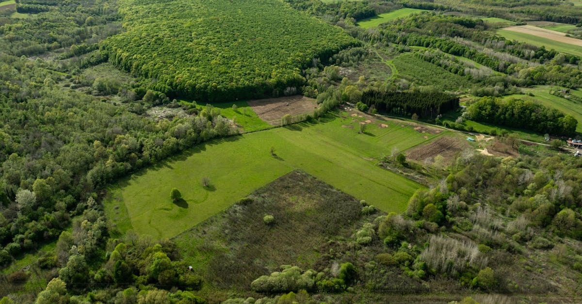 découvrez l'importance des partenariats durables pour un avenir éthique et responsable. explorez comment ces collaborations favorisent l'innovation, le respect de l'environnement et le développement social, tout en renforçant la résilience des entreprises.