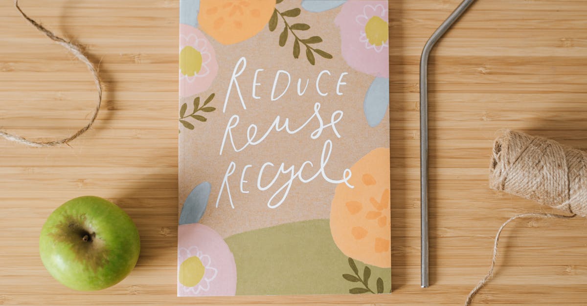 découvrez des stratégies efficaces pour la réduction des déchets et contribuez à un avenir durable. apprenez à minimiser votre impact environnemental grâce à des conseils pratiques et des initiatives innovantes.