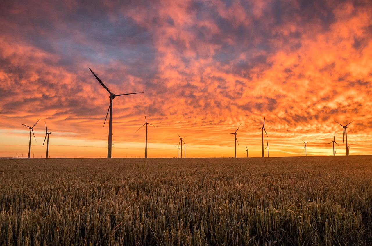 découvrez les avantages et les innovations des énergies renouvelables : solutions durables, respectueuses de l’environnement et économiques pour un avenir énergétique propre.