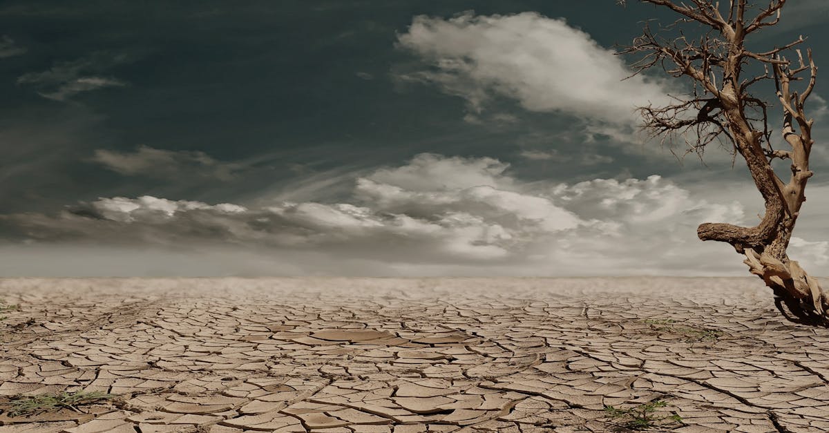 découvrez l'impact du changement climatique sur notre planète, ses conséquences sur l'environnement, la biodiversité et la société, ainsi que les solutions pour un avenir durable.