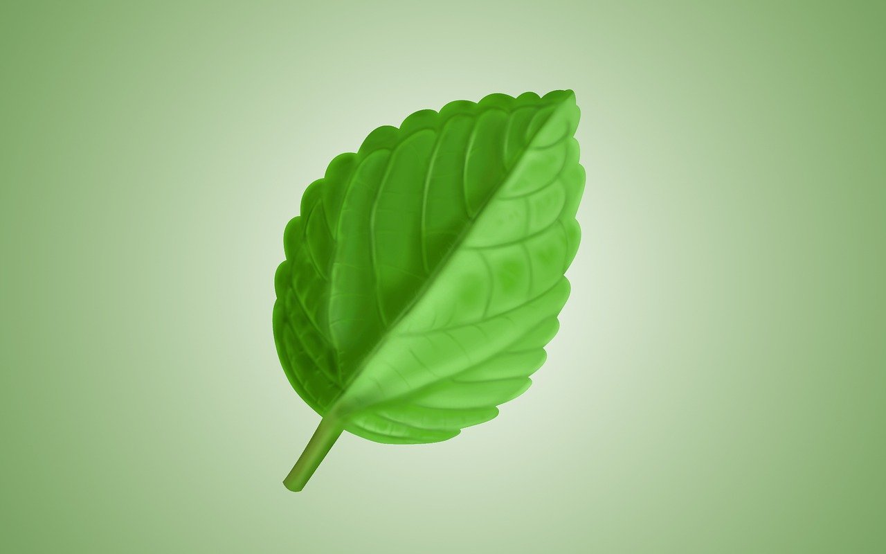 isolation thermique écologique : optez pour des solutions durables et respectueuses de l'environnement afin de réduire votre consommation énergétique et améliorer le confort de votre habitat.