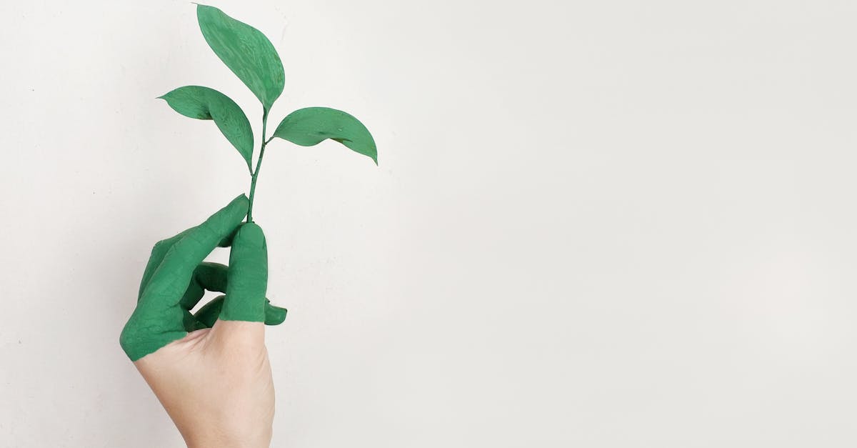 découvrez les principes du développement durable, une approche qui vise à concilier croissance économique, protection de l'environnement et équité sociale. apprenez comment adopter des pratiques responsables pour un avenir meilleur.
