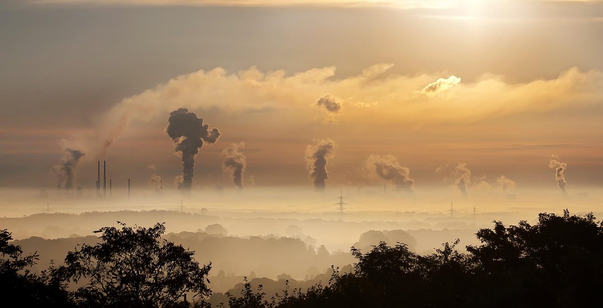 Impact environnemental de la mort : un regard écologique sur la fin de vie