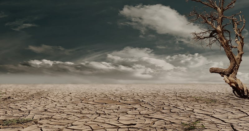 Impact du changement climatique sur les entreprises françaises : le vrai coût