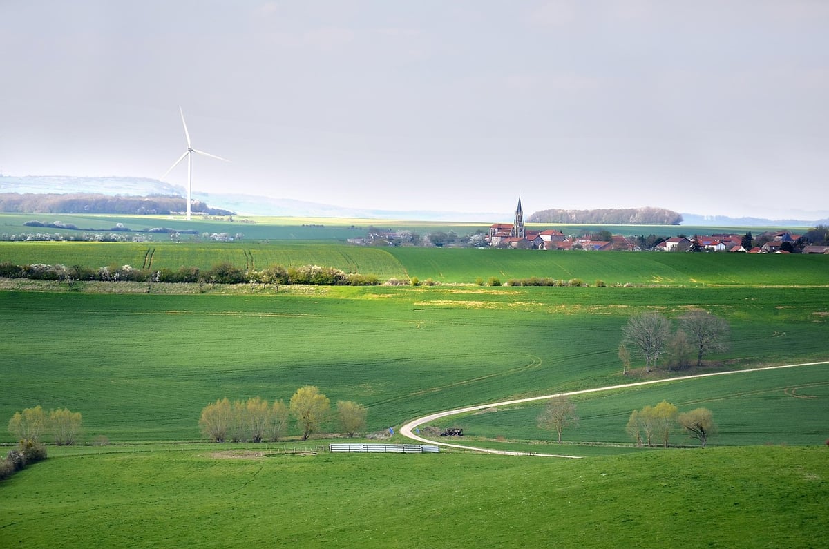 Immobilier : Cap sur le Développement Durable