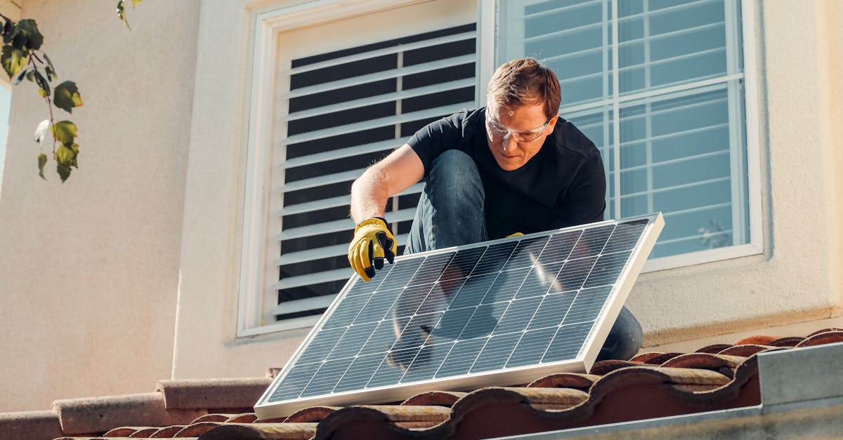 Action climatique : stratégies efficaces pour un avenir durable