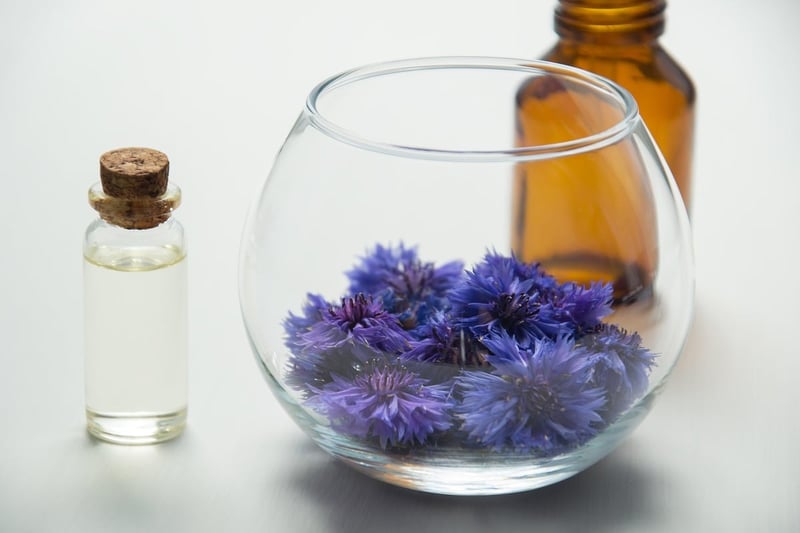Cosmétiques naturels DIY : Guide complet pour créer vos propres soins de beauté sains
