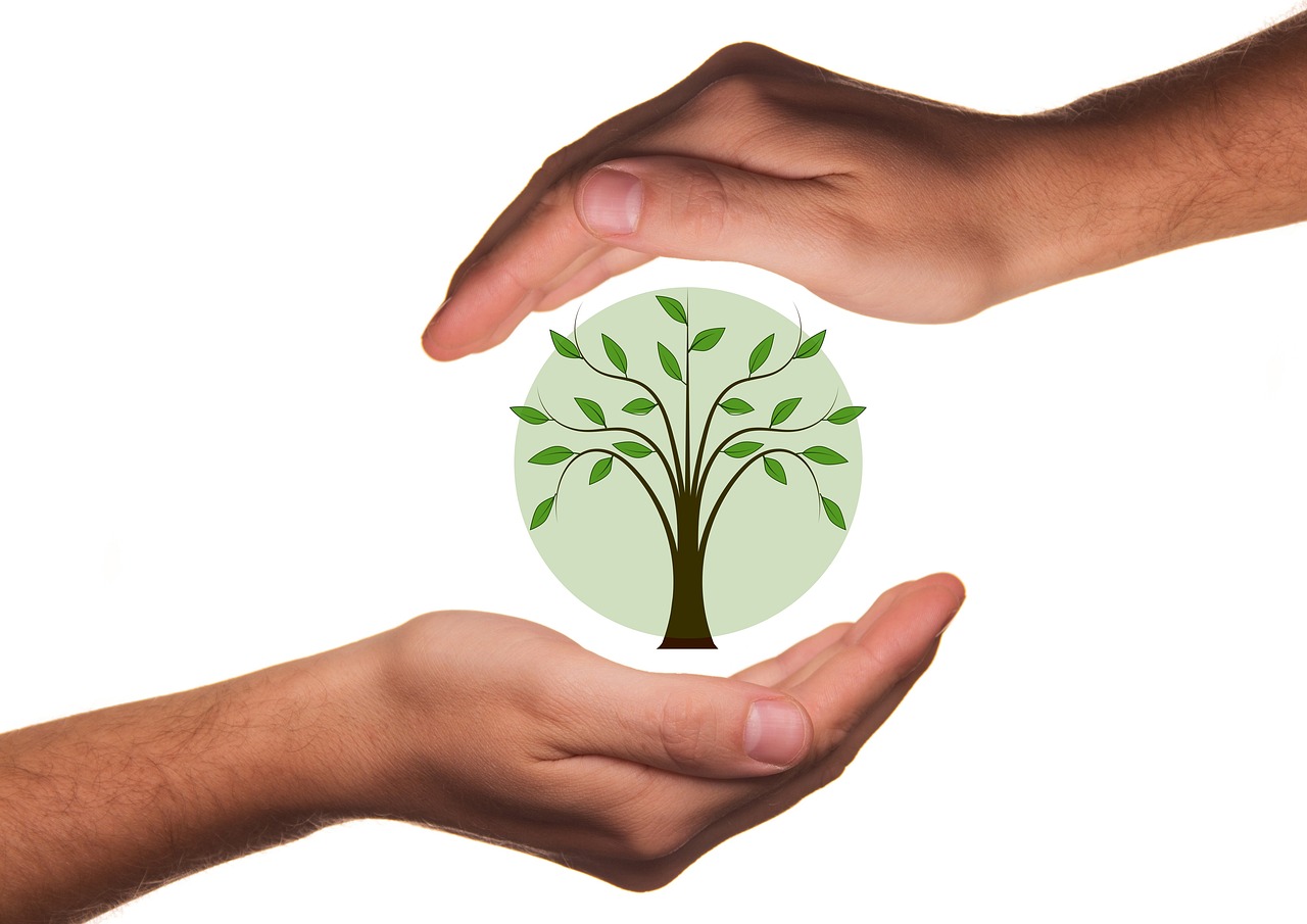 L’Art de la Responsabilité : Comprendre et Agir avec Conscience
