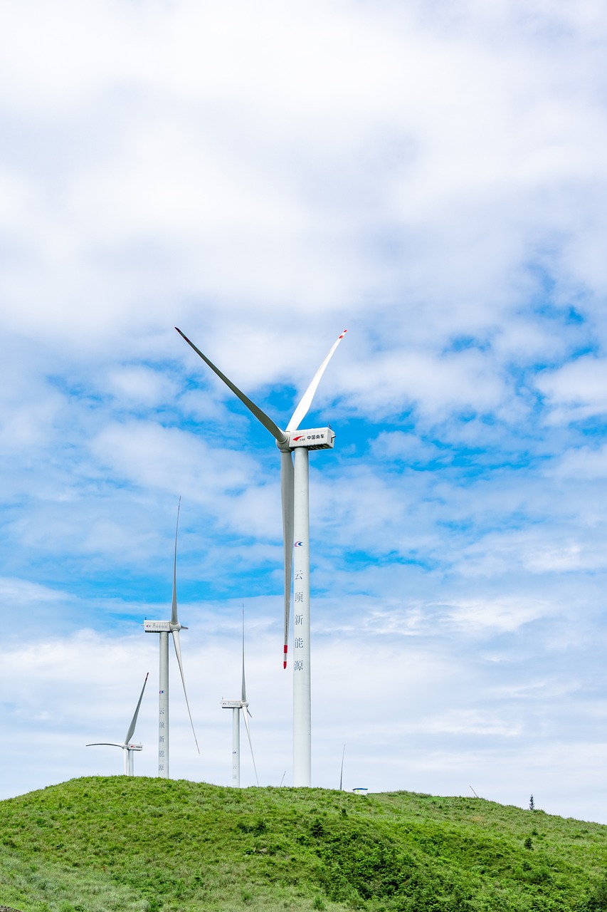 Vers un Avenir Écologique : L’Essence du Développement Durable