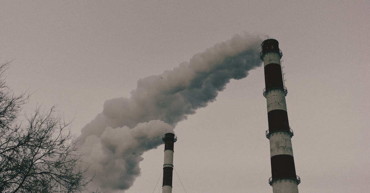 Empreinte écologique : comprendre son impact sur notre planète