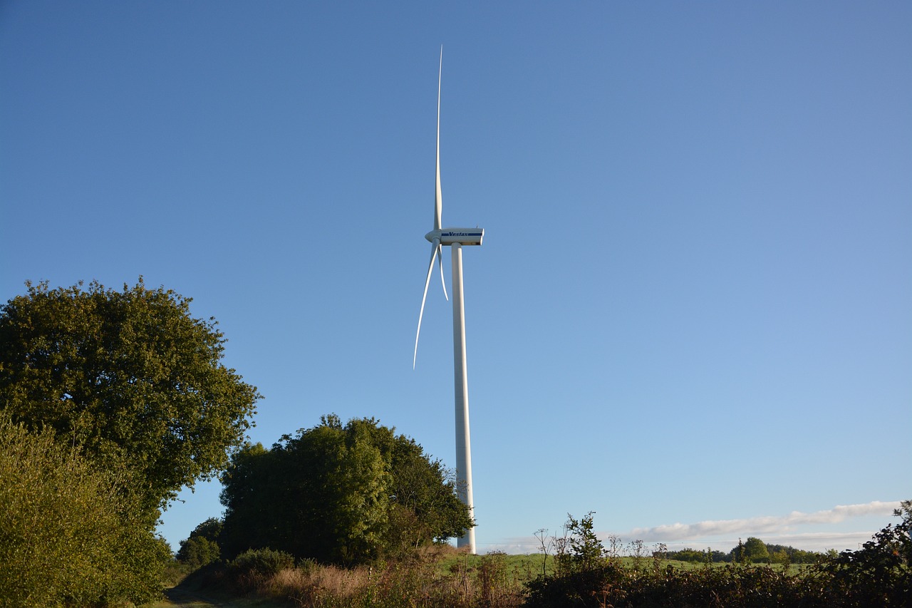 Sensibilisation au développement durable : actions concrètes à mettre en place