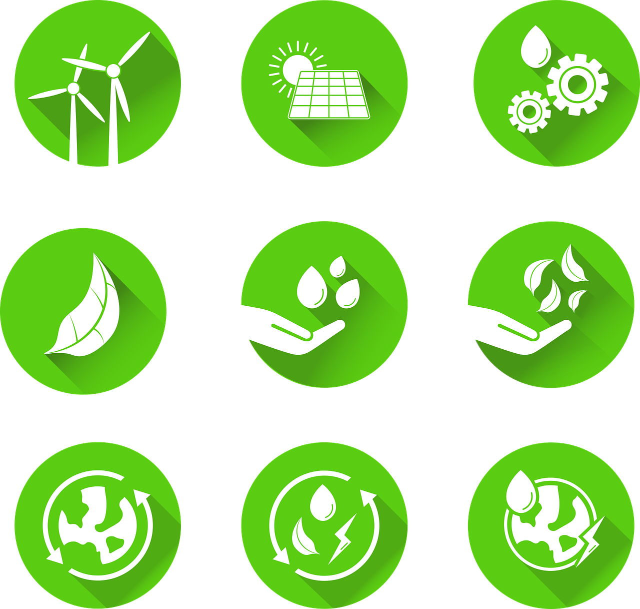 Bilan des initiatives en faveur du développement durable en 2024 : un regard tourné vers l’avenir!