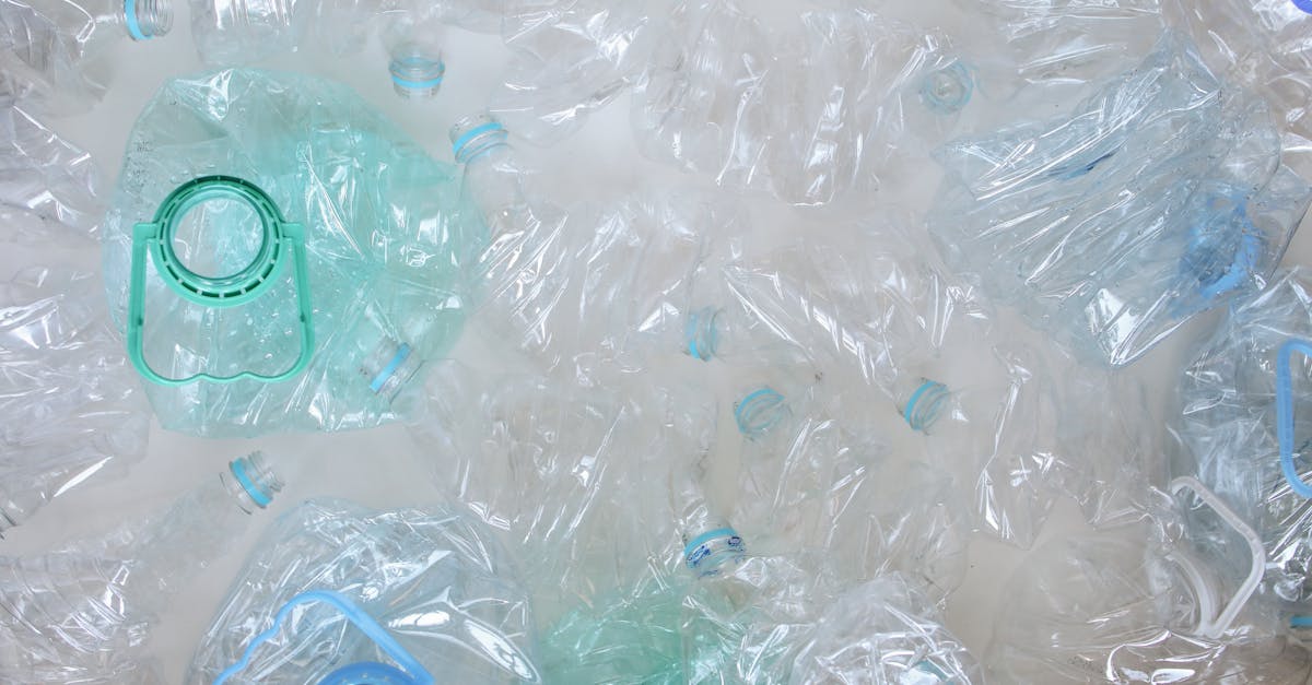 Déchets : Comment réduire notre impact environnemental au quotidien