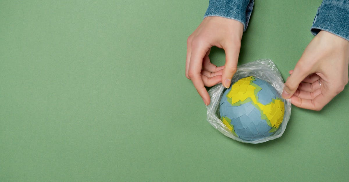 Mouvement écologiste : vers une prise de conscience collective pour la planète