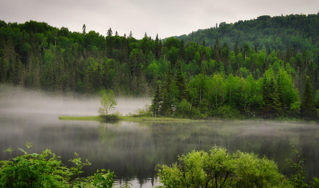 Développer des compétences en RSE, climat et biodiversité