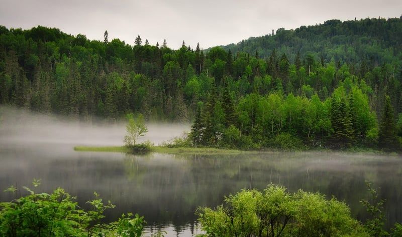 Développer des compétences en RSE, climat et biodiversité
