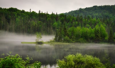 Développer des compétences en RSE, climat et biodiversité