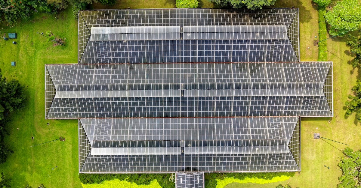 Énergies renouvelables : les solutions durables pour un futur énergétique