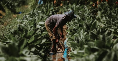 Management environnemental : Stratégies innovantes pour une entreprise durable