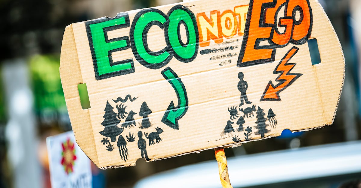 Changements climatiques : impacts et solutions pour un avenir durable