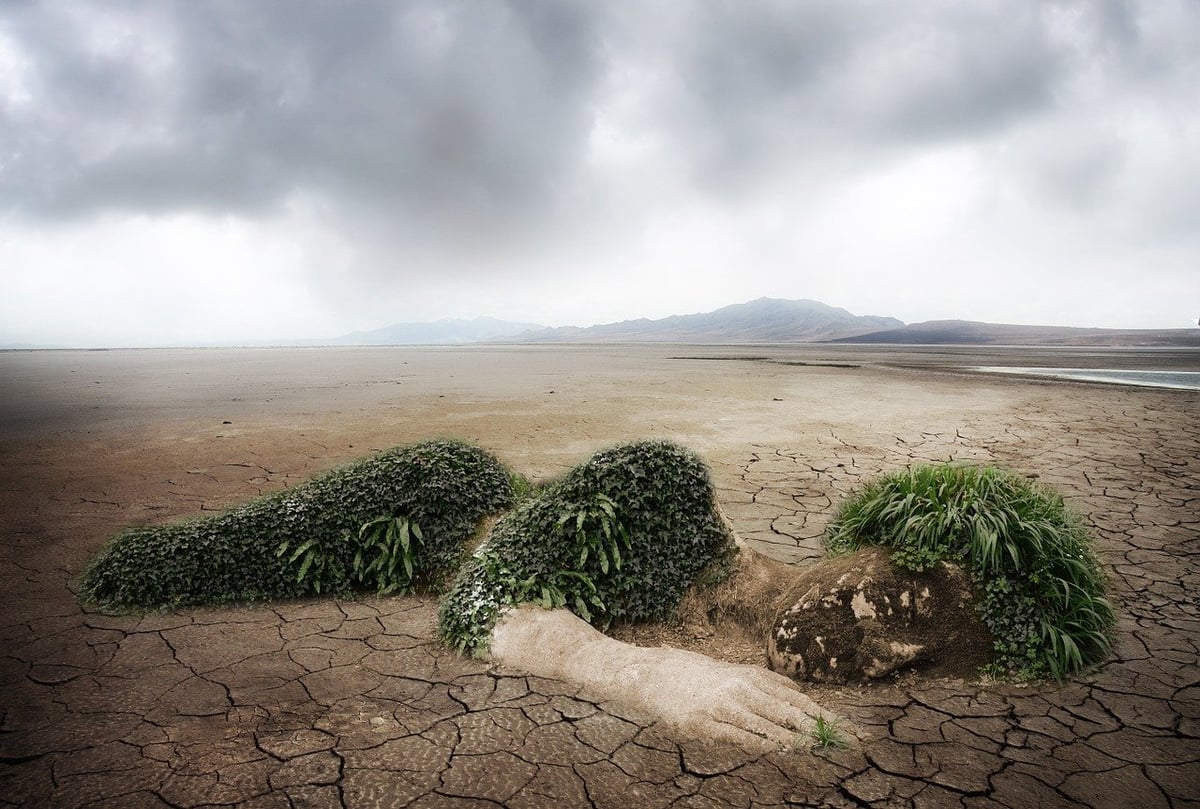 Comprendre les enjeux environnementaux actuels