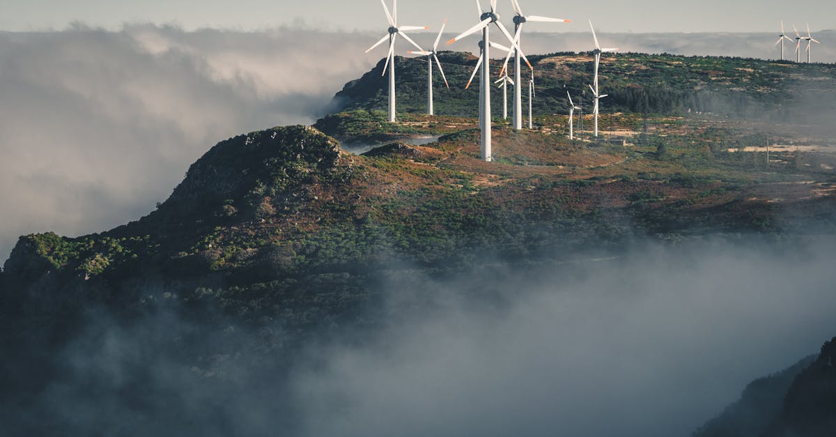 Énergie verte : Les avantages et les solutions durables pour un avenir meilleur