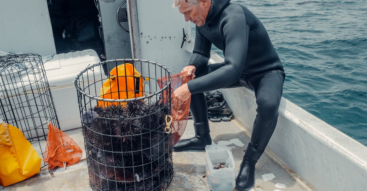 Pêche durable : pratiques écoresponsables pour préserver nos océans