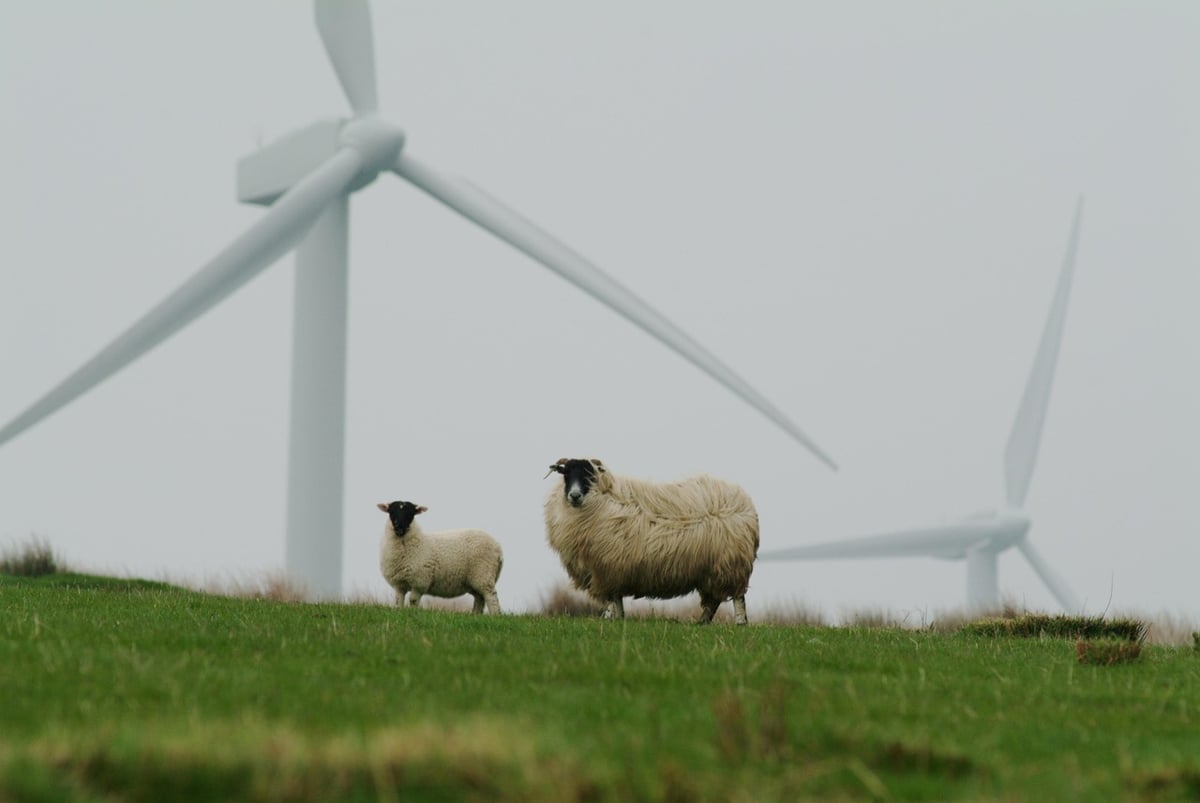 Agir pour la Terre : Stratégies pour un avenir durable