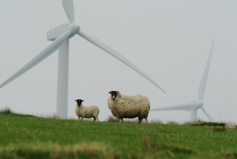 Agir pour la Terre : Stratégies pour un avenir durable