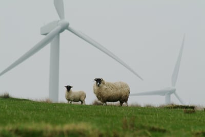 Agir pour la Terre : Stratégies pour un avenir durable